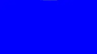 Blue Screen