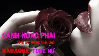 Cánh Hồng Phai - Karaoke - Tone Nữ - Acoustic Guitar