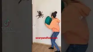 Spider Jumpscare 3 wow