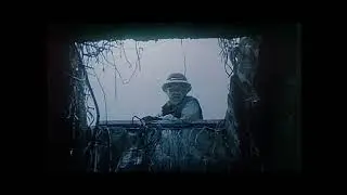 Эпизод со змеями