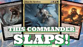 Disa 27 Card Budget Precon Upgrade Guide