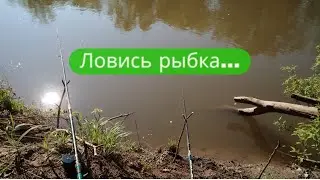 ✔Continued fishing 🎣 from 11 05 2023. River Dema ✔