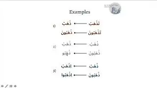 How to form the Imperative verb in Arabic (فعل الأمر)