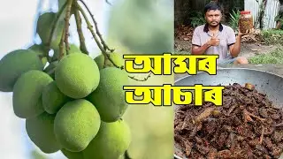 আমৰ আচাৰ ৷ Mango pickel I assamese recipe