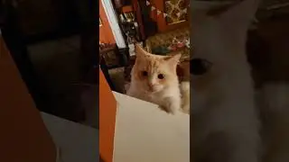 Just tryna go to bed