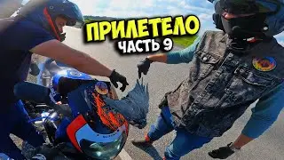 СБИЛ ПТИЦУ на СПОРТБАЙКЕ на 200км/ч! ЧелленжТРИП #9