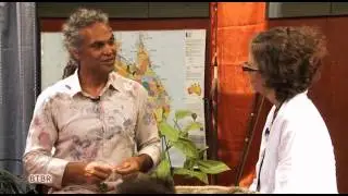 BTBR-Se01-Ep11-P3-Capalaba, Scar trees and native flowers