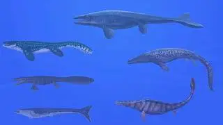 Mosasaur Family Size Comparison