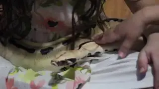 Children Handling a Blood Python!
