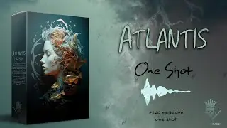 [+220] ONE SHOT 