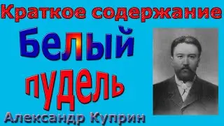 Краткое содержание Белый пудель, Куприн