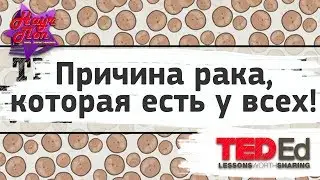 ♋ Причина рака, которая есть у всех! [ ted ed на русском ]