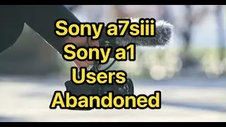 Sony has abandoned the a7siii & a1