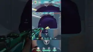 0.5 800dpi