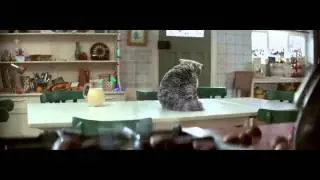Смешной кот 😱😱😱