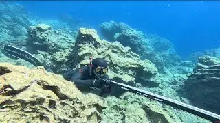 Datça's Mysterious Cave and Spearfishing in Palamutbükü Waters