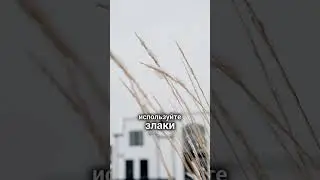 3 секрета шикарных европейских садов 😍