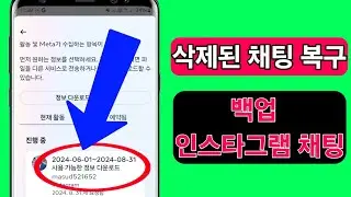 삭제 후 Instagram 채팅 백업 방법 | 삭제된 채팅 복구