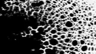 Zola Blood - Grace