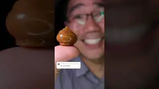 ASMR | Poop 💩 Jelly 