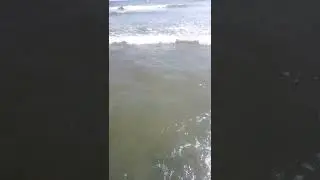 Sea View P2 In Karachi