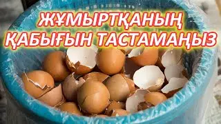 30 Жастан Асқан Әйелдер Көруі КЕРЕК,  Жұмыртқа қабығы 10 жылға жасартады, Керек арнасы