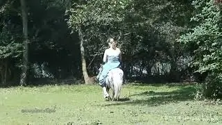 Big lady riding small pony by Donkey rider