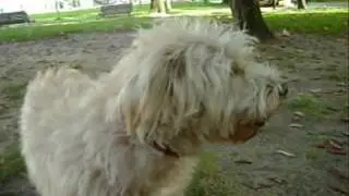 A Pantufinha no Parque....