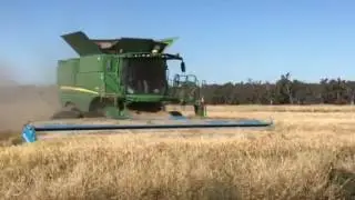Rice harvest in Swan Hill Victoria