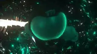 Tripp St. - The Biscuit [OFFICIAL VISUALIZER]