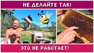 Работа над ошибками при осушке рамок в конце сезона.