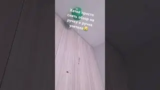 грусто:😕
