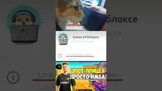 тг хомяк в роблоксе Ник: GameArtemchiLoves 