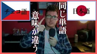 同じ単語でも意味が違う【チェコ語VS日本語】