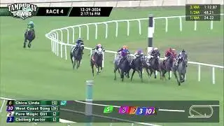 Tampa Bay Downs Carrera 4 - 29 de Diciembre 2024
