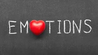 How Your Emotions Work