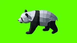 Green screen panda video | panda walking green screen