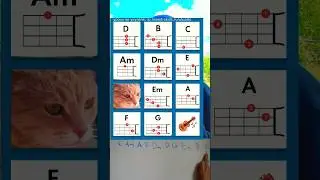 Укулеле. Как быстро ты можешь ставить аккорды? 💥🎸 