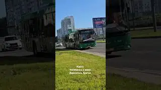 автобус маз 203.945| вн 996 74, маршрут 64