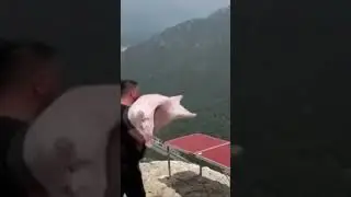 Начинающий блогер 😊