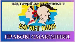 Конституція – це потужний інструмент. 14.06.24 прямий ефір - Від теорії до практики з «Багнет Нації»