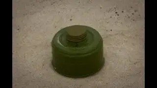 Наши скромные морские находки.