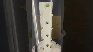 The new inside garden #love #family #beautiful #satisfying #shorts #subscribe