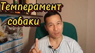 5. Типы высшей нервной деятельности собаки. Темперамент.