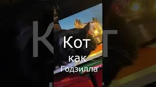 Котзилла 🦖 и светящиеся картины 🖼️ ✨
