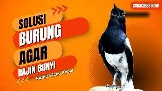 4 Metode Sauna Yang  Jarang Orang Tahu!!