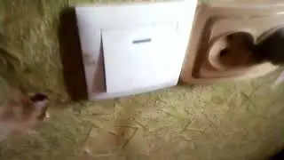 что делать если свет просто так светится тускло светодиодная лампочка