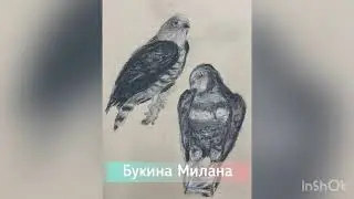 ВЫСТАВКА ОБУЧАЮЩИХСЯ ГРУПП 1 ПП-1,2 «ЗАРИСОВКА ПТИЦ»