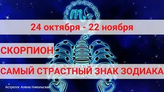 СКОРПИОН. Самый страстный знак зодиака.