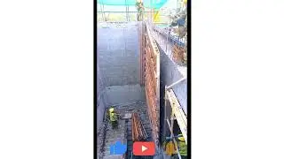 Wall mold removal process amazing video and satisfactory #shorts